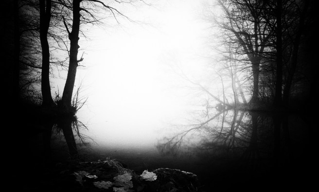 Mystical-Black-And-White-Forest