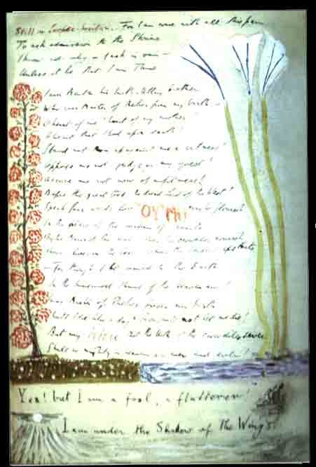 Handwritten manuscript page with red flower border left, tall white-green flowers right