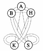 Minimalist diagram with five labeled circles, interconnected lines
